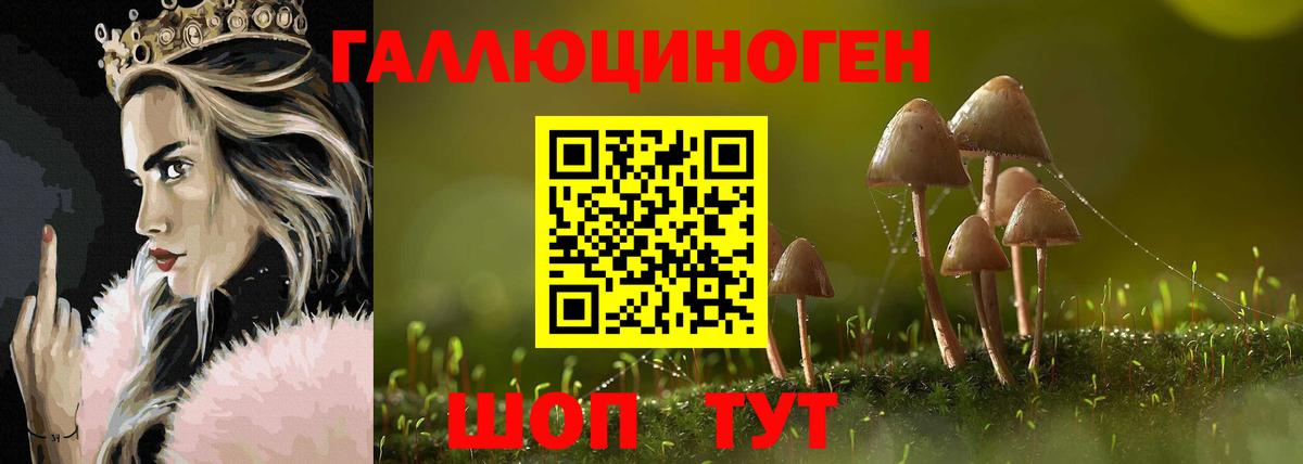 дарнет шоп  Вход с VPN  Вязники  Псилоцибиновые грибы Psilocybine cubensis 